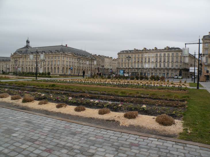  plantations sur les quais